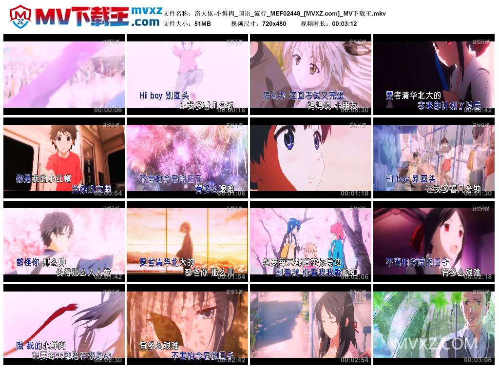 洛天依-小鲜肉_国语_流行_MEF02448